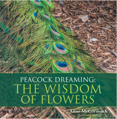 Peacock Dreaming The Wisdom of Flowers
